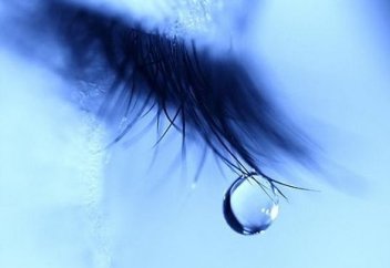 До слёз тронуло (видео)