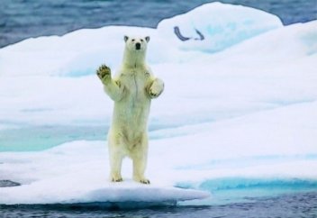 Ғалымдар: 2030 жылға қарай Арктикадағы мұз толық еріп бітеді