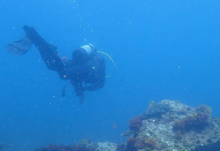 На дне Индийского океана нашли природную "капсулу времени"
