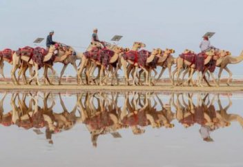 Араб жерінде әлемдегі ең ірі фестивал өтеді. Бас жүлде - 66 млн доллар!