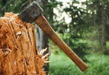 Ағаш кесу мен өрт туралы хабарлауға болатын мобильдік қосымша іске қосылады