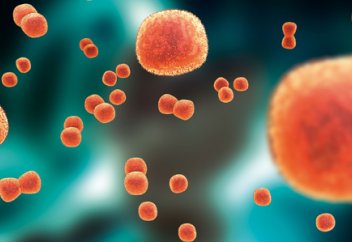 Менингококкты жұқпаға қарсы екпе алмаған тұлғалар биылғы қажылықтан бас тартуға мәжбүр