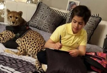 Саудиялық қыз жыртқыштармен тұрып жатыр