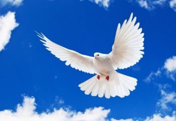 Мы НЕ ЦЕНИМ своё положение... | Абдуллахаджи Хидирбеков | Ислам