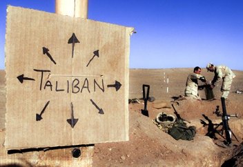 Тәліптер күшейіп келеді