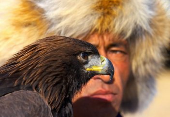 Жетісу қырандарының сипаты