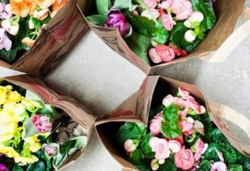 Дүкендердің тексерілуі