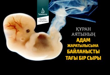 Құран аятының адам жаратылысына байланысты тағы бір сыры