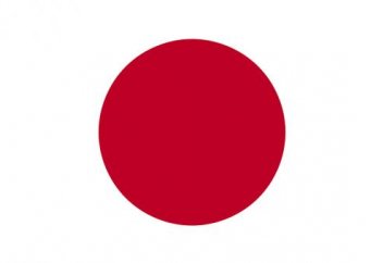 ЯПОНИЯ ИСПЫТАЛА РАКЕТУ-РАЗВЕДЧИКА