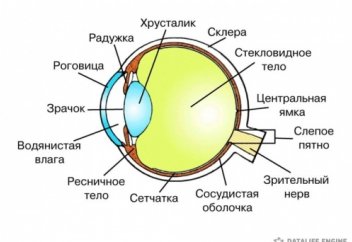Көздің көру қабілетін жақсарту жолдары