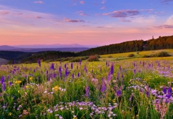 Дәулетбек Байтұрсынұлының бір өлеңі