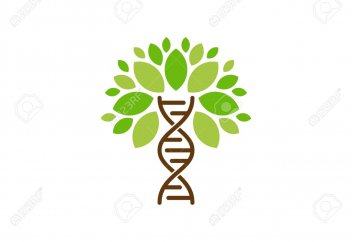 Ғалымдар көмірқышқыл газын көбірек сіңіруі үшін өсімдіктің ДНҚ-сын өзгертті