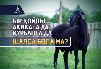 Бір қойды ақиқаға да, құрбанға да шалса бола ма?