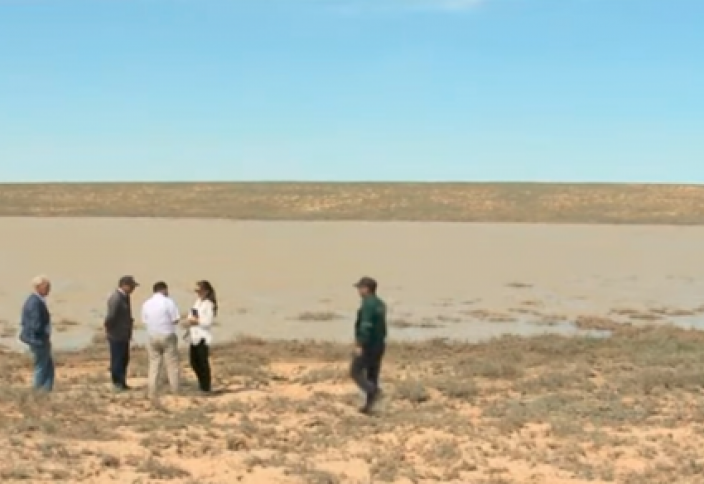 Озеро неожиданно образовалось в безводной атырауской степи (видео)
