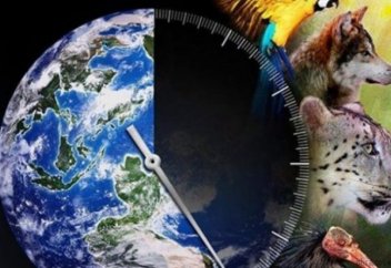 Ғалымдар: планетадағы жануарлардың популяциясы орта есеппен 70% -ға азайып кеткен