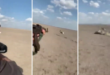 Выяснилось, где было снято видео "охоты арабов на джейранов"