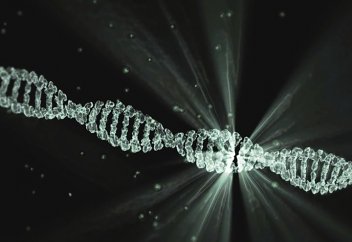 Генетическая «модернизация» непредсказуема