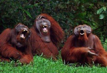 Духовный вред чрезмерного смеха