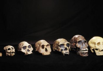 Ескі қаңқалар дарвинизмнің  қателігін әшкерелейді