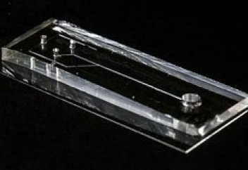 Жасанды өрмекші безі жасалды