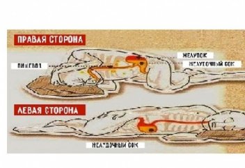 Как правильно спать?