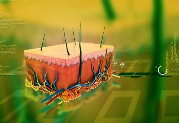 Прикроватный биопринтер заменит всю поврежденную кожу