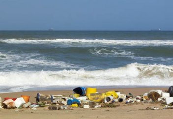 В Дубайской бухте выловили мусора эквивалентного массе 300 слонам