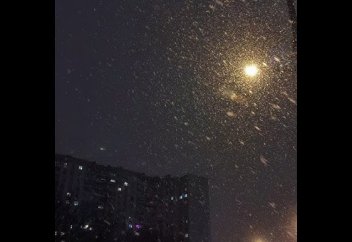 Тәуліктің ең қауіпті сағаты түнде екені анықталды