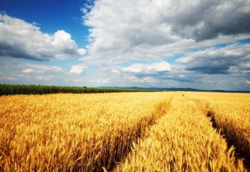 Ширек ғасырдан кейін азық-түлік тапшылығы орын алады