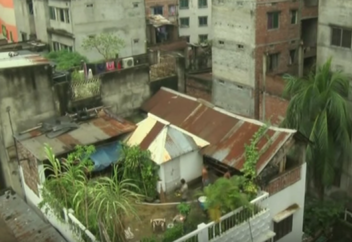 Көп қабатты үйдің шатырында мал асырап отыр (ВИДЕО)