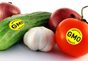 GMO-өнімдер азық-түлік қауіпсіздігін қамтамасыз ете ала ма?