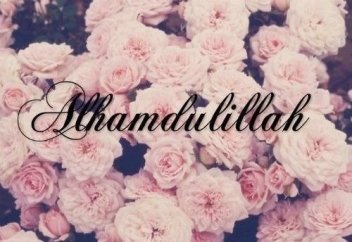 Мен Сені жақсы көрем