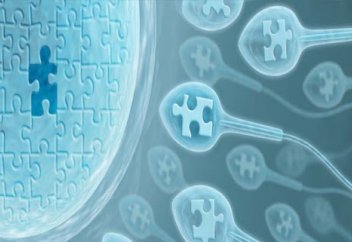 Шәуһадтың да жадысы бар болып шықты