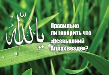 Правильно ли говорить что «Всевышний Аллах везде»?