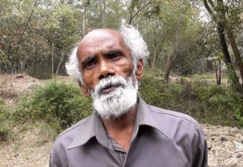 История человека, который каждый день сажал по одному дереву