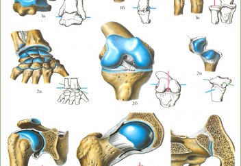 За каждый сустав – одно подаяние