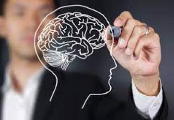 Ақпаратты есте сақтау тетігі анықталды