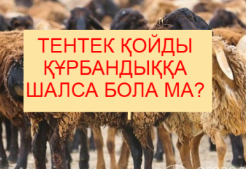 Тентек қойды құрбандыққа шалуға бола ма?