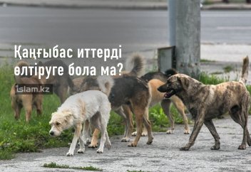 Дінде қаңғыбас иттерді өлтіруге рұқсат етілген бе? - А. Қасым