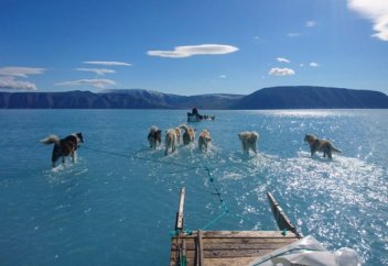 В Гренландии за один день растаяло 2 миллиарда тонн ледников Как изменится Земля, если растают ледники