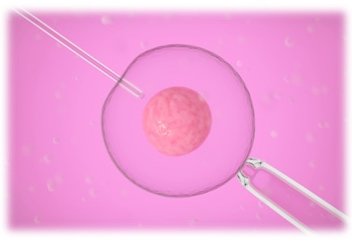 Муфтият Казахстана запретил искусственное оплодотворение вне брака