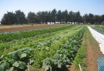 Жұмыстан қайтқан жұмысшылар