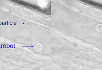 Лейкоциттерді микророботқа айналдырудың жолы табылды