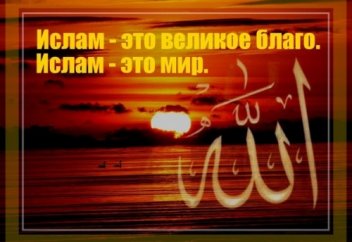 Исламға террорды телушілерге мұсылманның берген тапқыр жауабы... (видео, фото)