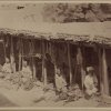 Рынок в Средней Азии 140 лет назад (78 фото)