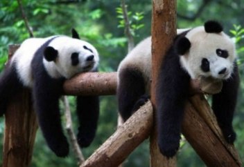 Жалқаулықты 1 минутта жеңе аласыз