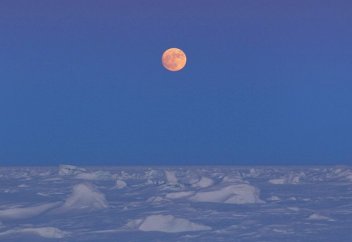 DailyStar: Россия готовится к «эпичной войне сверхдержав» за ресурсы Арктики