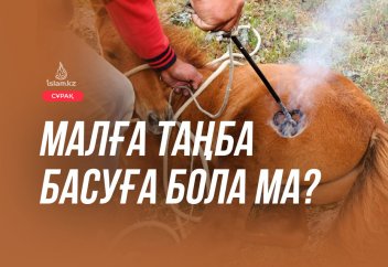 Малға таңба салуға бола ма?