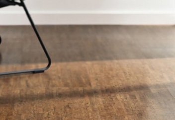 Премьер-министр еден жуды (видео)