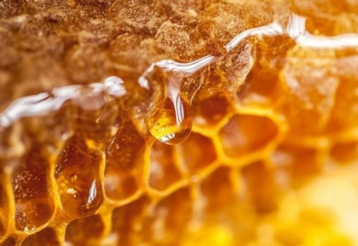 От каких болезней способен избавить мёд  Рассказывает итальянское издание Il Giornale